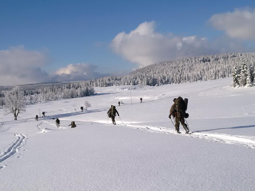 Military Ski Patrol  