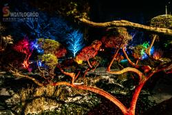 Wrocław - Pokaz iluminacji we wrocławskim Ogrodzie Botanicznym